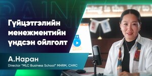 Гүйцэтгэлийн менежментийн үндэс